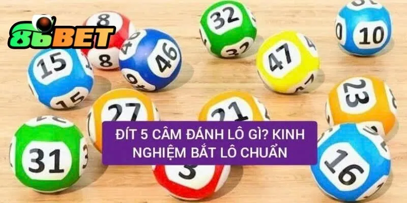 Đít 5 Câm 86Bet